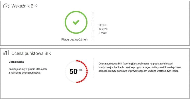 Jak pobrać raport BIK - Kancelaria Fenix